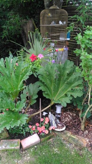 Décoration de jardin