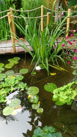 Décoration de jardin