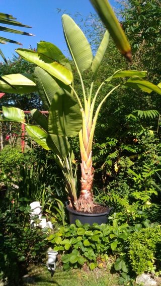 Décoration de jardin