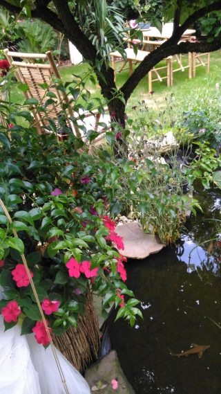 Décoration de jardin