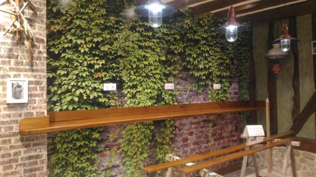 Mur de verdure intérieure